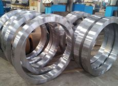 Stainless Steel 316/316L Rings